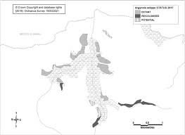Attēlu rezultāti vaicājumam “Argynnis adippe underside”