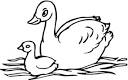 Swan coloring page
