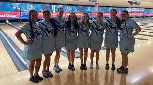Image result for Npl Ladies Bowls Club