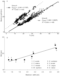 Image result for Chelon saliens