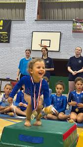 Image result for Farnham Gymnastics Club