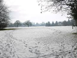 Image result for Chipstead Bowling Club