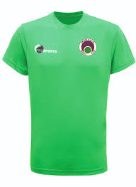 Image result for Bridge Of Allan Sports Club