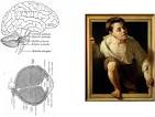 workings of human vision - via Daymix