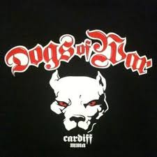 Image result for Cardiff Mma