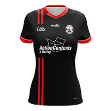 Image result for Wolfe Tones Gaelic Athletic Club