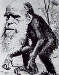Des prélèvements effectués par Darwin récemment retrouvés Images?q=tbn:ANd9GcTilTJNsTQc7P5-GZ-Ih2xosvdQTXZ3WSlxpzkgOhRsSC1--6v_ZQ