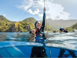 Image result for Great Western Divers