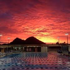 Image result for Derby Phoenix Swimming Club