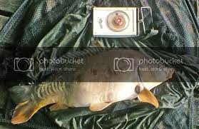 Image result for DRAYTON ANGLING CLUB