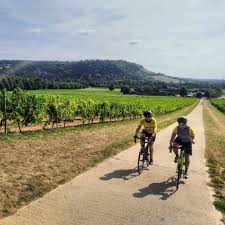 Image result for Sutton Cc/De Ver Cycles