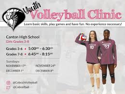 Image result for Cheltenham Cobras Volleyball Club