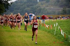 Image result for Abbey Runners