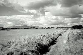 Image result for Ardglass Gfc