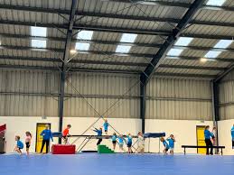 Image result for Treasure Gymnastics