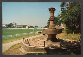 Image result for Waverley Cricket Club