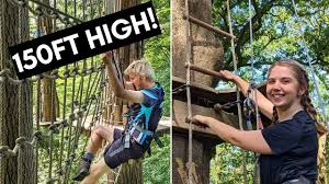 Image result for Go Ape! Grizedale