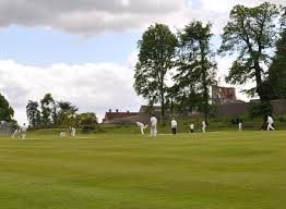 Image result for Wrecclesham Cricket Club
