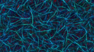 Attēlu rezultāti vaicājumam “Physarum sulphureum stalked”