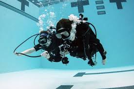 Image result for Dive Crew Scuba Diving
