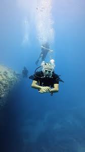 Image result for Deep Blue Diving
