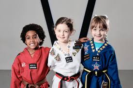 Image result for Kidderminster Tae Kwon Do Tigers