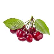 Attēlu rezultāti vaicājumam “Cerasus”