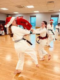 Image result for Waltham Abbey Shotokan Karate Club