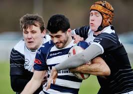 Image result for Lowca Amateur Rugby League Football Club