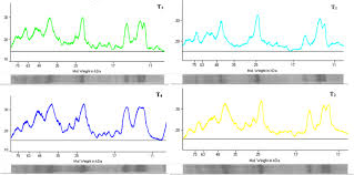 Image result for Rutilus caspicus