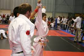 Image result for Guerrero Martial Arts