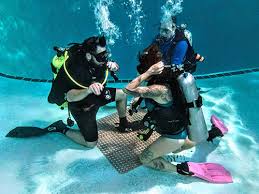 Image result for World Divers