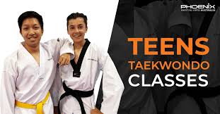 Image result for Phoenix Martial Arts