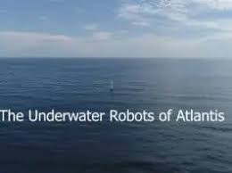 Image result for DeeperBlue.net Tribe (South London)