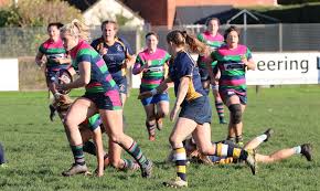 Image result for Ellingham and Ringwood Rfc