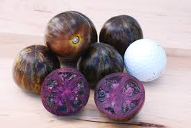 Afbeeldingsresultaat voor prudence purple tomato