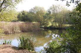 Image result for Orpington District Angling Association