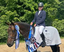 Image result for South Weylands Equestrian