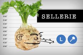 Image result for Sellerie