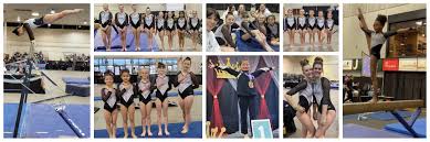 Image result for Gym Stars