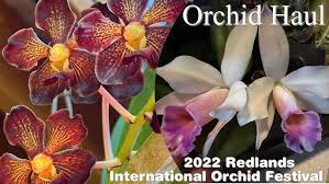 Image result for Lanreath Smbc