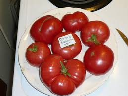 Afbeeldingsresultaat voor crnkovic yugoslavian tomato