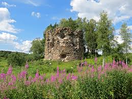 Attēlu rezultāti vaicājumam “xComagaria rosea”