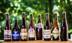 Image result for trappista