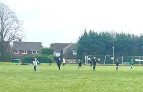 Image result for Rayleigh boys under 7's Leopards- need a Goalie!