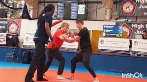 Image result for Tang Sou Dao Ren Yi Wu Kwan - Houghton & Wyton
