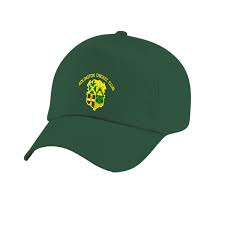 Image result for Adlington Cricket Club