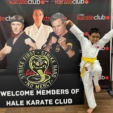 Image result for Haxby karate club