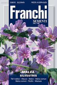 Image result for Malva sylvestris