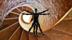 Image result for numero aureo